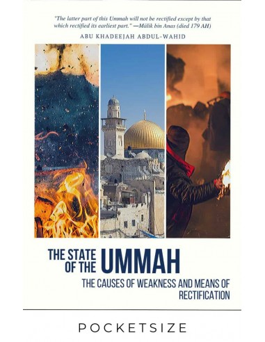 The state of the Ummah | The causes...
